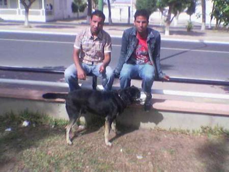 moi et roki et bo3lam